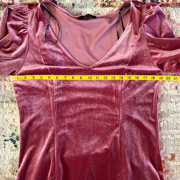 Forever 21+ Velvet Dress - Picture 8 of 8